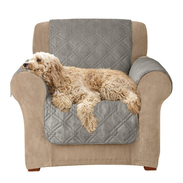 Wayfair Polyester & Polyester Blend Powell Furniture PetFriendly